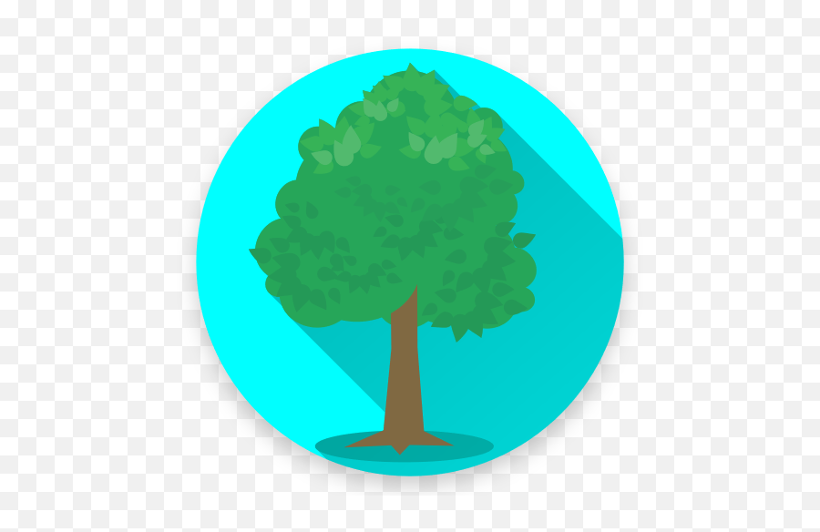 Tree Identifier App - Los Árboles Apps On Google Play Tree Png,Tree Icon Vector Free