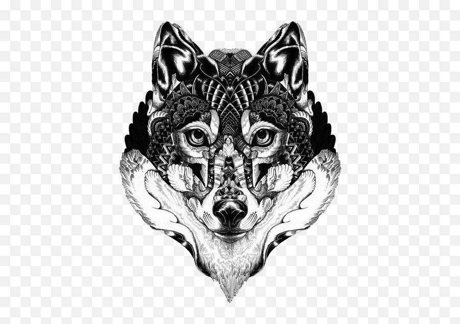 Download Free Gray Art Langtou Illustration Tattoo Wolf - Iain Macarthur Artist Animals Png,Wolf Head Icon