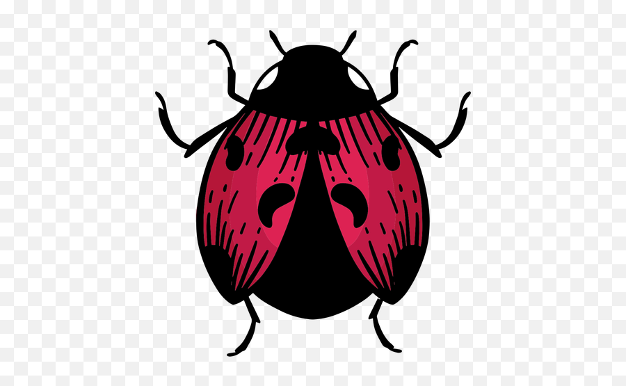 Hand Drawn Symbol Ladybug Transparent Png U0026 Svg Vector - Parasitism,Ladybug Icon Leaf