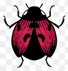 Hand Drawn Symbol Ladybug Transparent Png U0026 Svg Vector - Parasitism