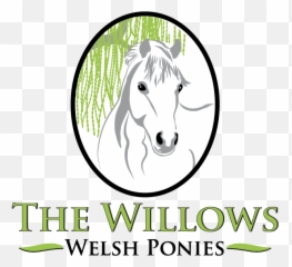 The Willows - Dy Kingfisher Hobbit 2002 Buckskin Roan Welsh Language png
