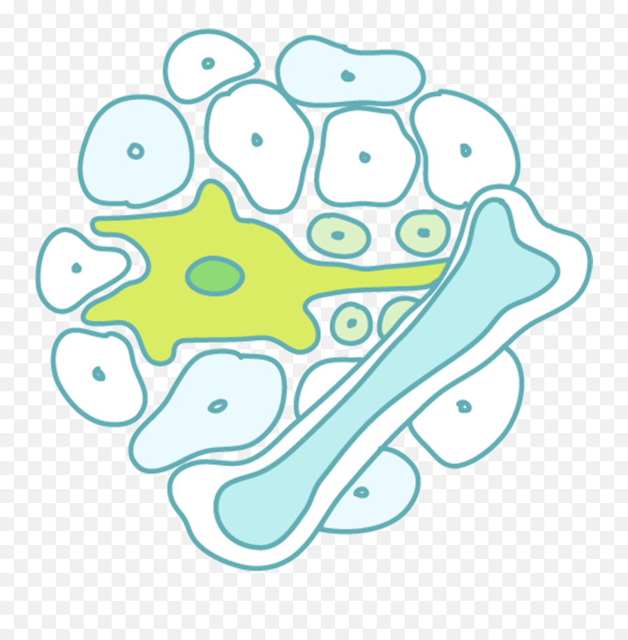 Laboratory Of Stem Cell Biology And Developmental Immunology - Dot Png,Immunology Icon