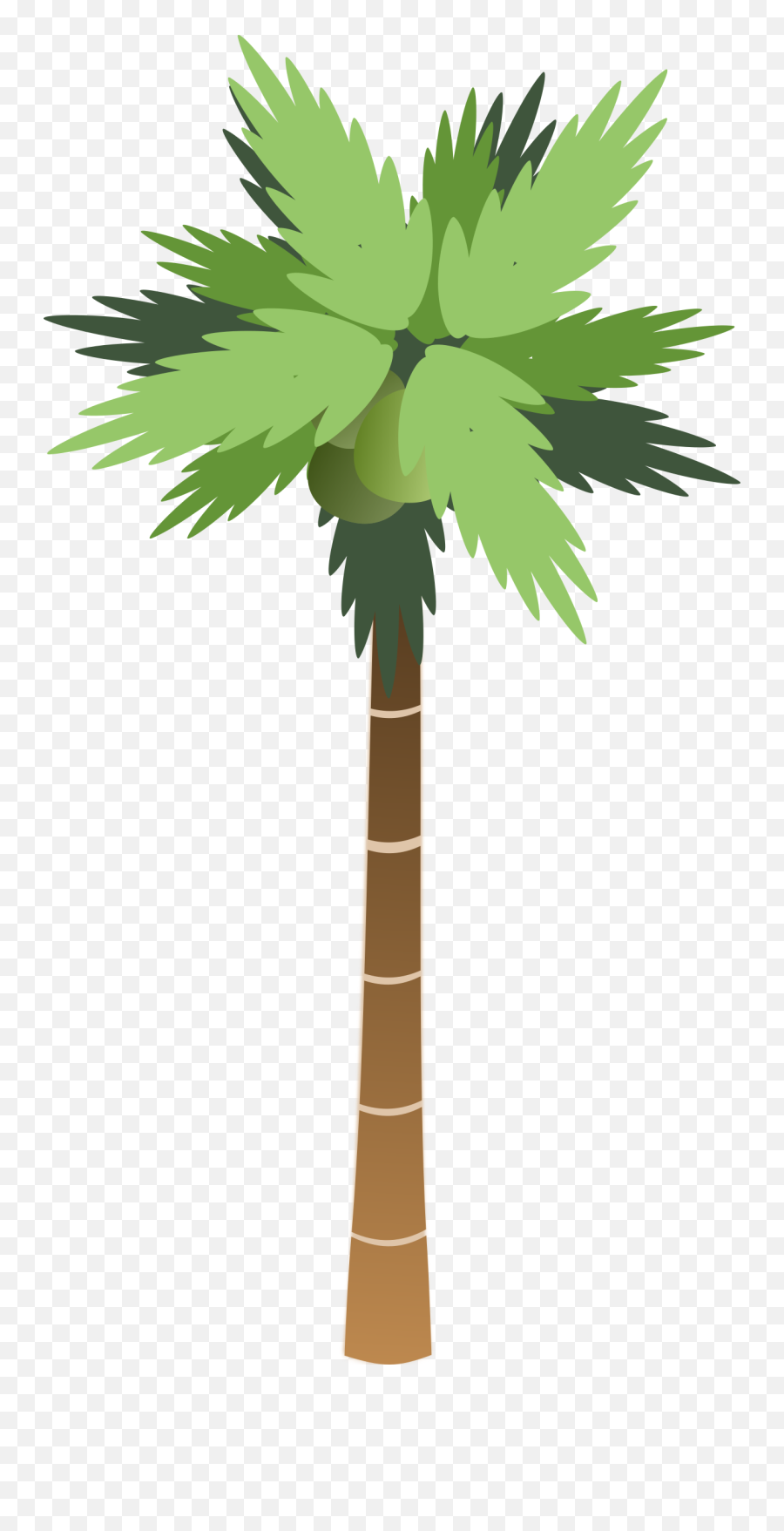 Download Palm Tree Png Hq Image Freepngimg - Palm Tree Clip Art,Palm Png