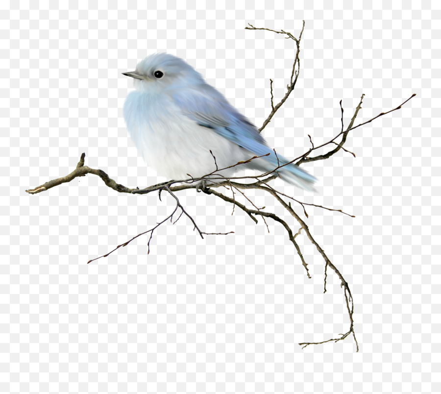 Download Little Blue Bird Would Be Neat To Frame Pastels Or - Water Color Bird Clipart Png,Blue Bird Png