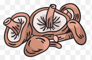 Mushrooms Fungi Food Edible - Clip Art Png,Fungi Png