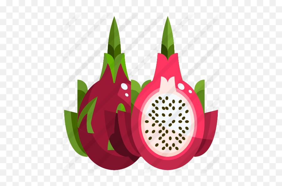 Dragon Fruit - Dragon Fruit Icon Png,Dragonfruit Png