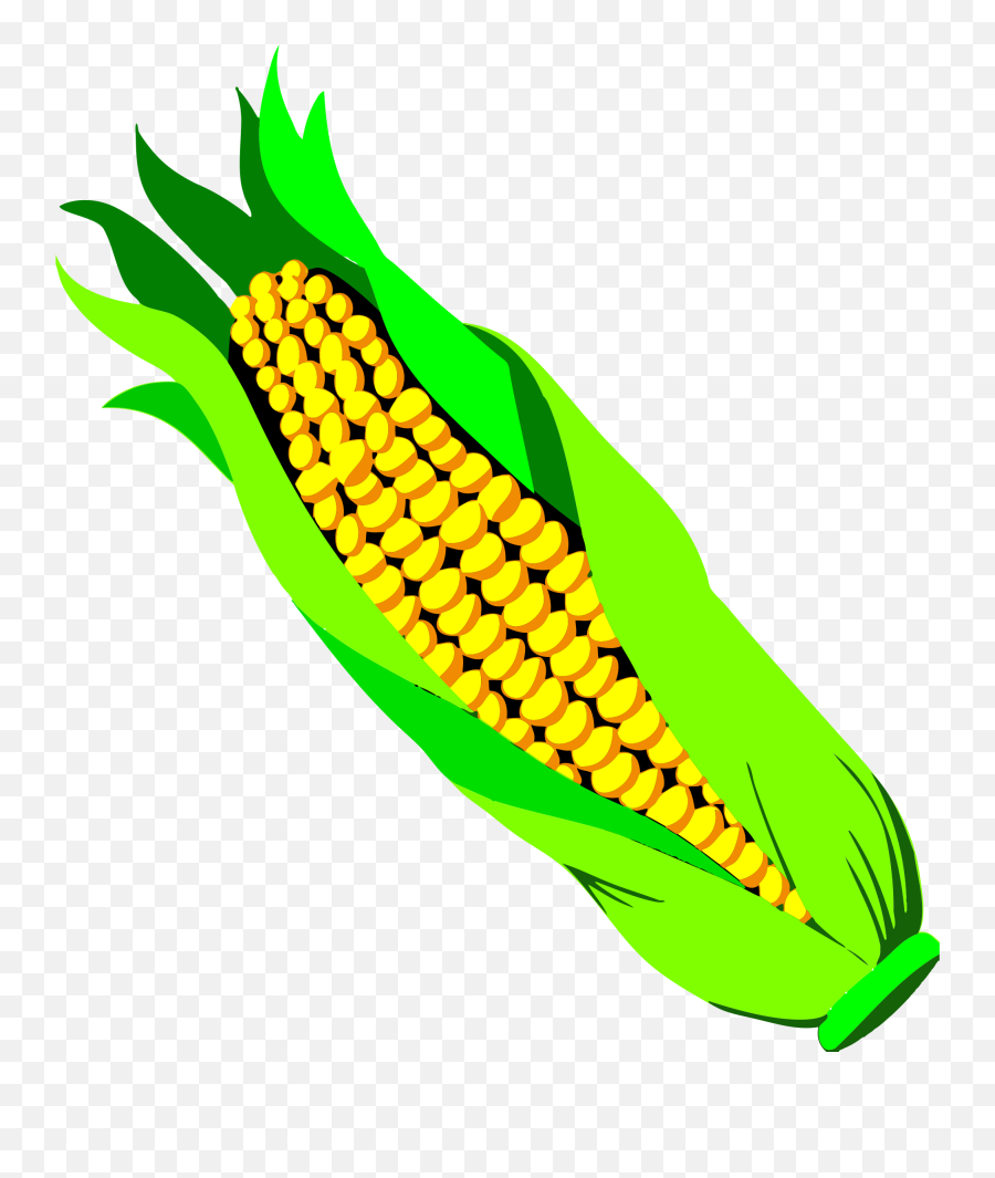 Clipart File - Corn Clipart With Transparent Background Png,Corn Cob Png