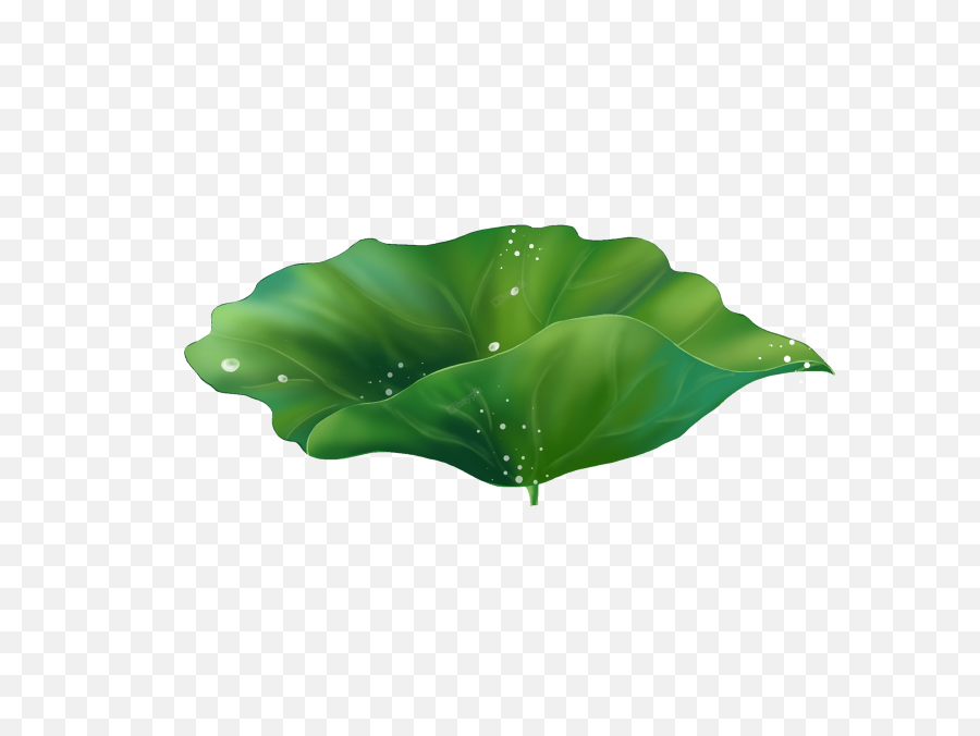 Cartoon Exquisite Lotus Leaf Decoration - Lotus Leaf Vector Png,Leaf Cartoon  Png - free transparent png images 