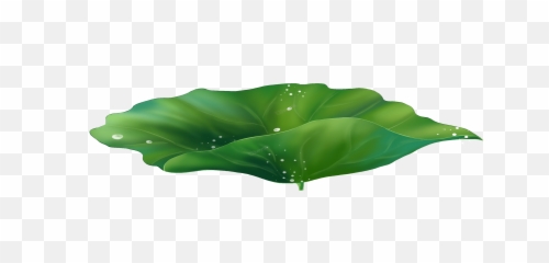 Cartoon Exquisite Lotus Leaf Decoration - Vector Png