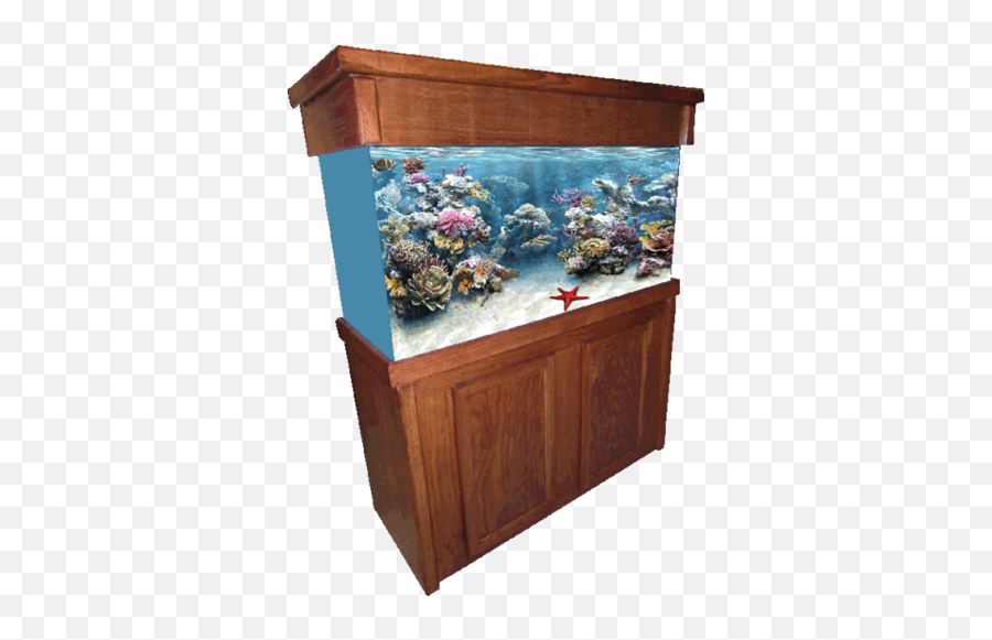 Aquarium Furniture Png Image - Aquarium,Fish Tank Png