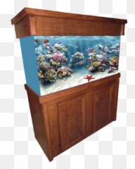 Aquarium Furniture Png Image - Aquarium,Fish Tank Png