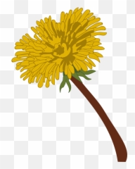 Insurance U0026 Fees U2014 Dandelion Integrative Therapy - png