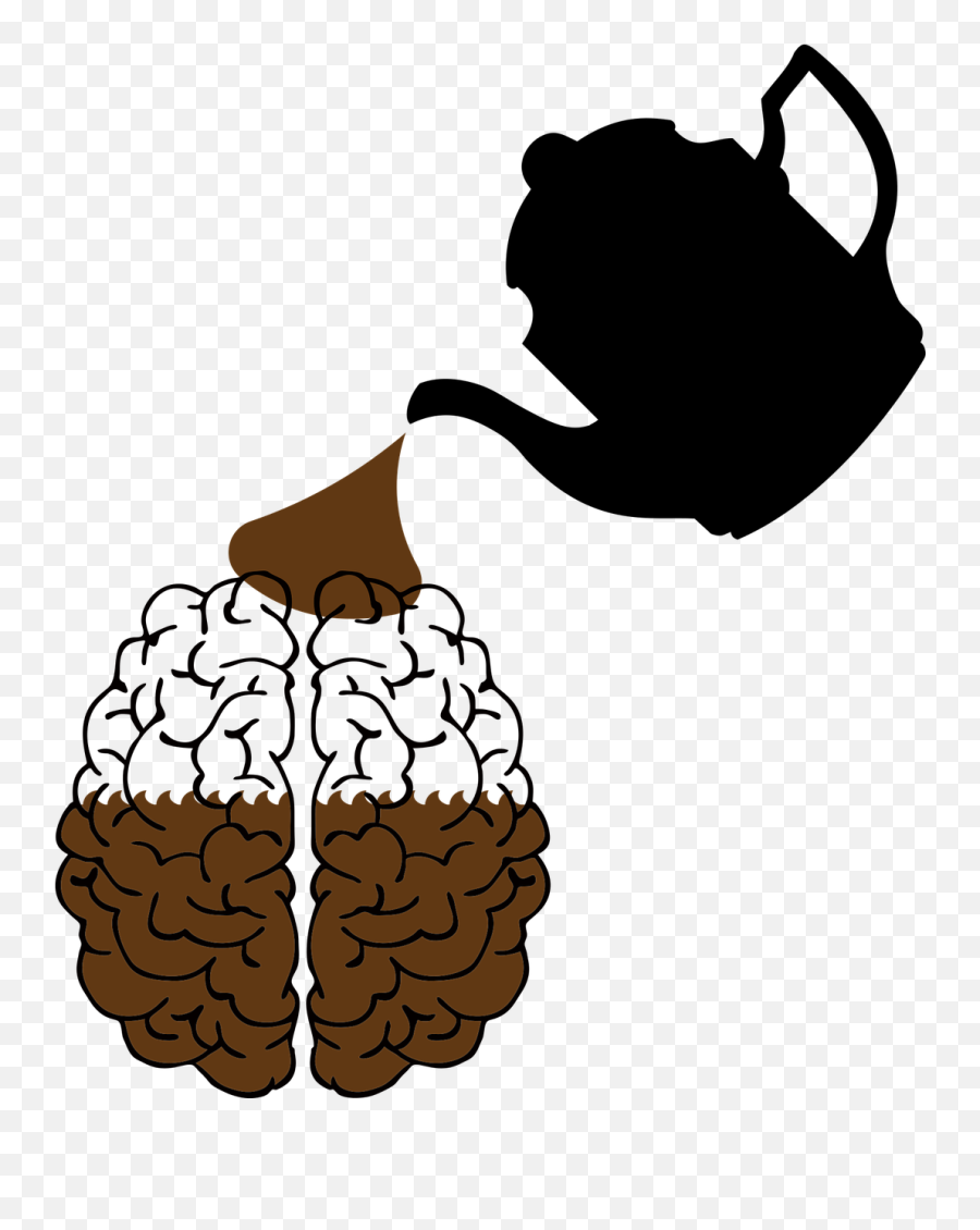 Brain Coffee Think - Free Vector Graphic On Pixabay Cerebro Y Cafe Png,Brain Png