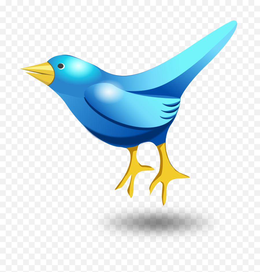 Bird Vector Png Transparent Image - Transparent Bird Vector Png,Twitter Bird Transparent