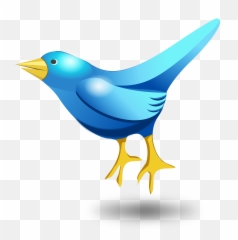 Bird Vector Png Transparent Image
