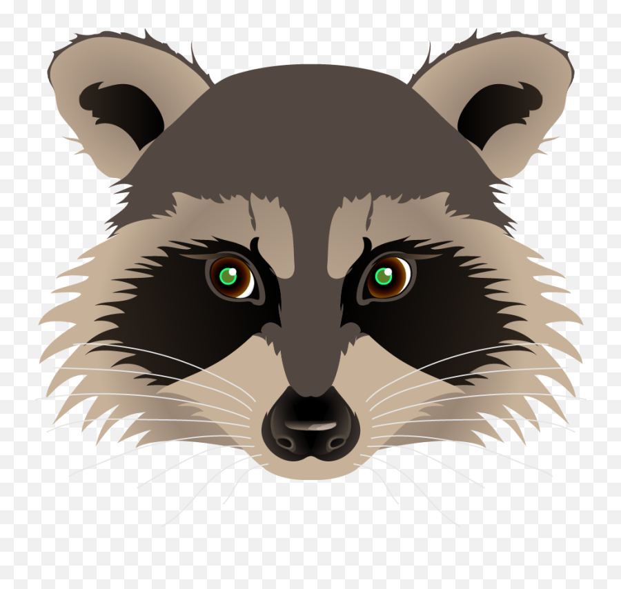 Raccoon Drawing Painting Clip Art Racoon Face Transparent Background Png Raccoon Transparent Free Transparent Png Images Pngaaa Com - raccoon head roblox