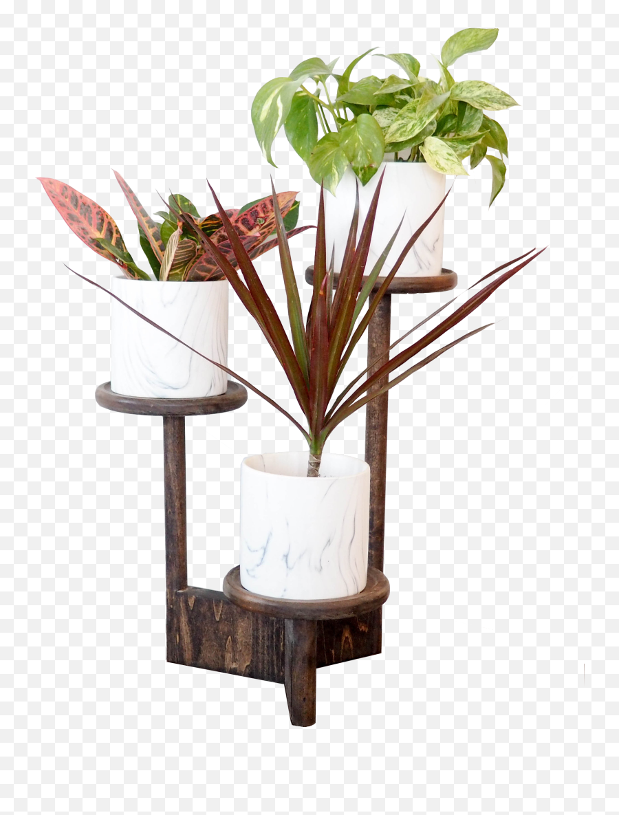 Large Wooden Triple Planter - Wood Plant Stand Indoor Png,Planter Png