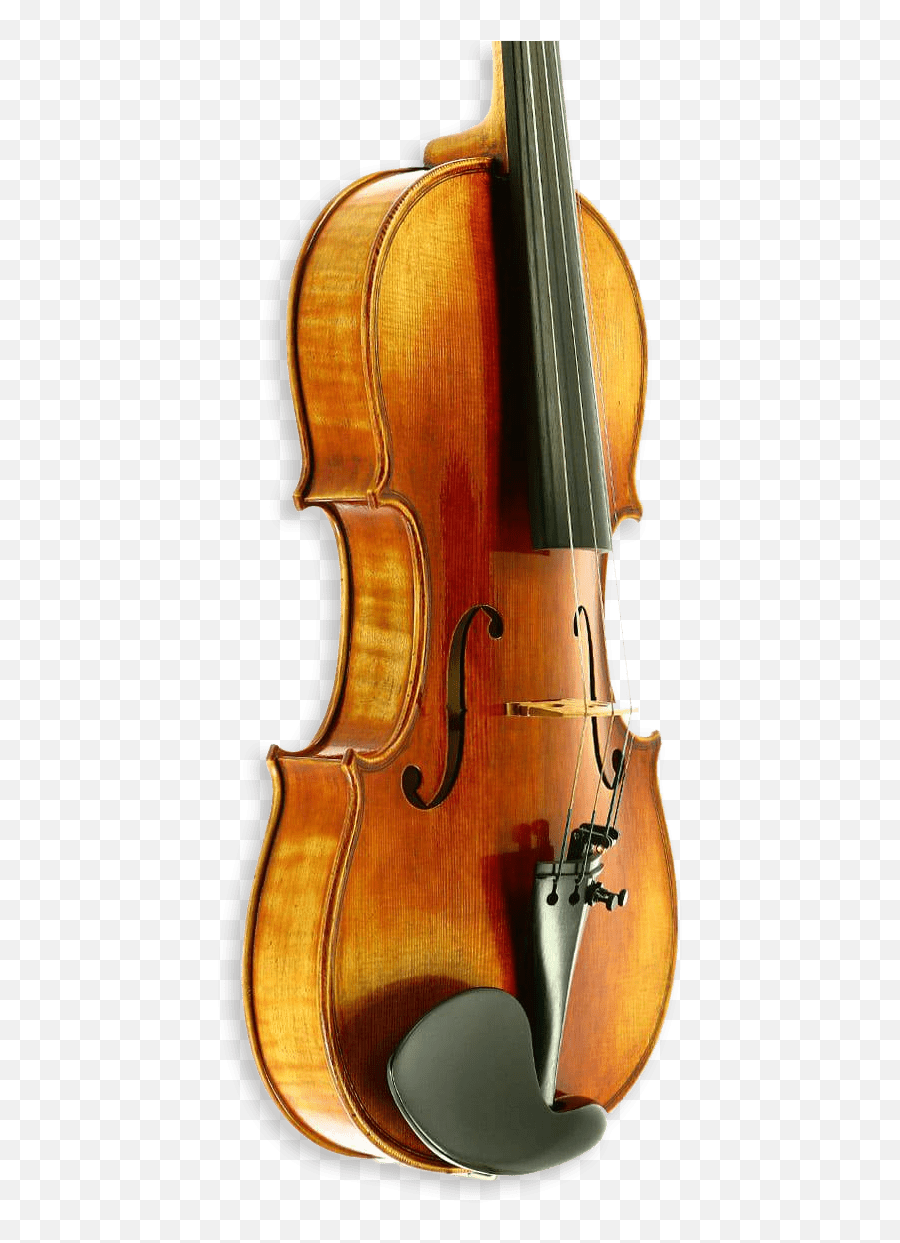 Violin Viola And Cello Specialists - Solid Png,Violin Transparent