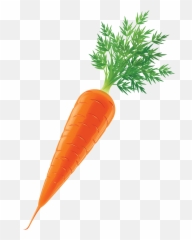 Free Transparent Carrot Png Download - Real Pictures Of Vegetables,Carrot Transparent