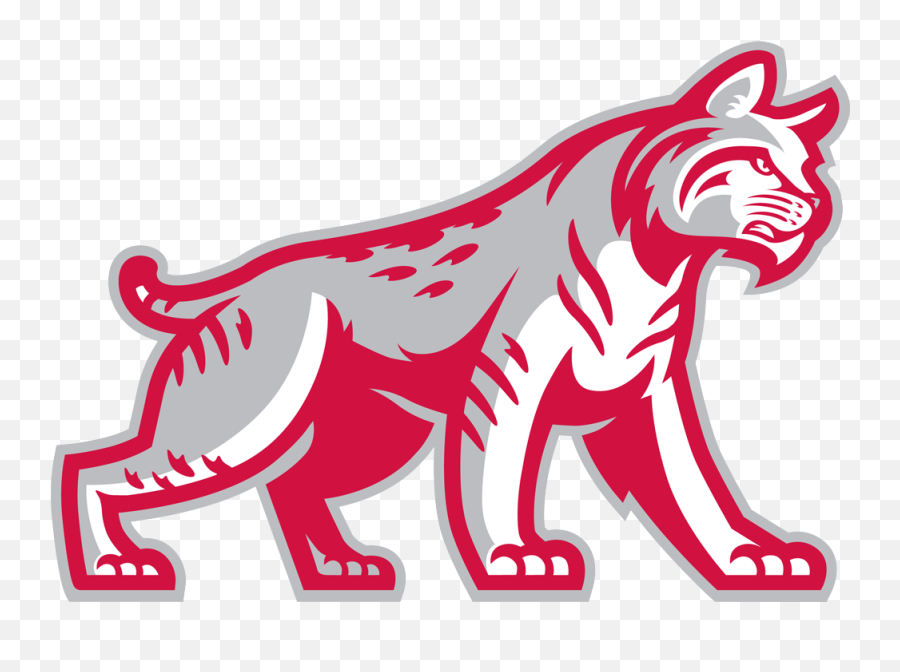 Indiana Wesleyan University Athletic - Indiana Wesleyan University Bobcat Logo Png,Indiana Wesleyan University Logo