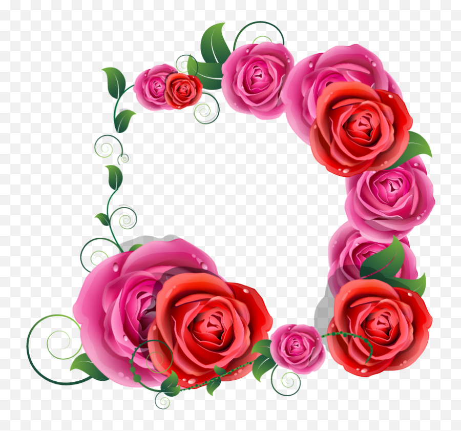 Rose Vector - Good Morning Beautiful Flowers Png Download Good Morning Saurabh Ji,Rose Vector Png