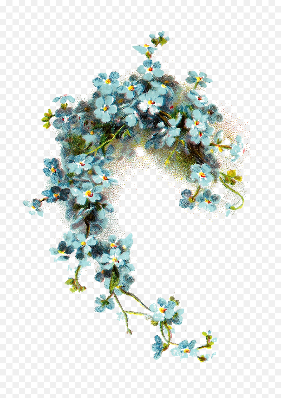 Crafts - Images I Like Forget Me Not Png,Flower Graphic Png