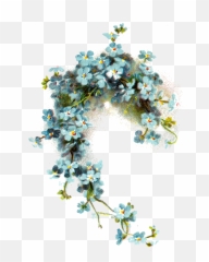 Crafts - Images I Like Forget Me Not Png,Flower Graphic Png
