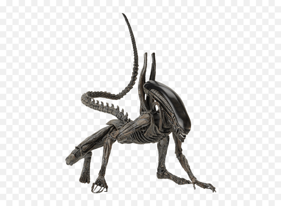 Alien Covenant Png 3 Image - Alien Covenant Xenomorph Png,Alien Transparent