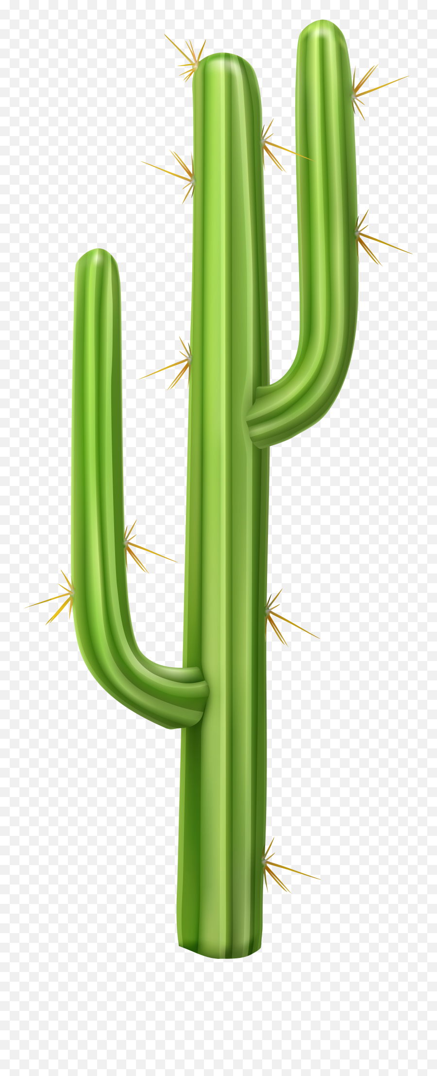 Cactus Clipart Transparent Png Cacti