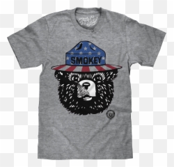 Patriotic Smokey Bear T - Shirt Gray The png