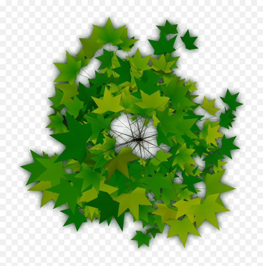 Download Trees Plan Png - Top View Of Tree Png Icon,Tree Plan Png