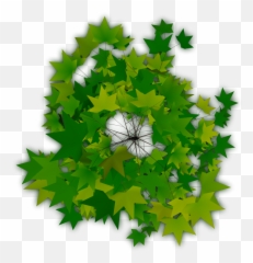 Download Trees Plan Png - Top View Of Icon