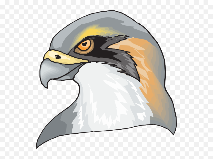 Brown Hawk Head Png Svg Clip Art For Web - Download Clip Hawk Head Png,Hawks Icon