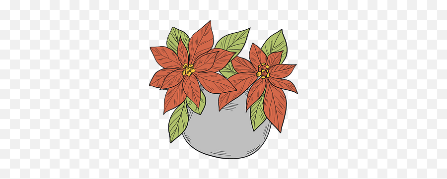 Flowers Clipart Free Download In Png Or Vector Format - Poinsettia,Poinsettia Png