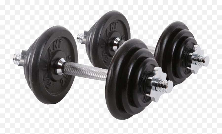 Dumbells Transparent Background Image - Free Weights Transparent Background Png,Weights Png