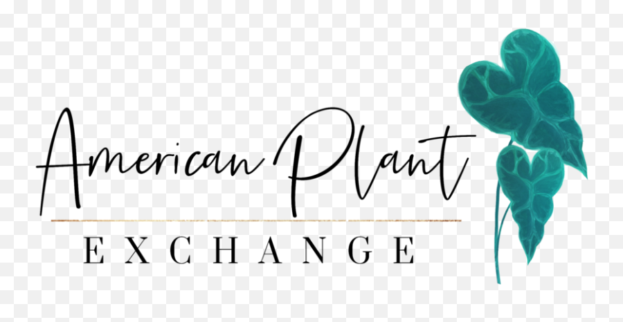 American Plant Exchange Png Transparent