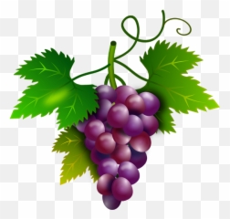 Fruits Raisins - Cacho De Uva Em Eva Png,Raisin Png