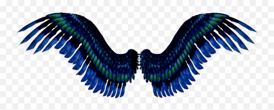Blue Green Black Wings Flying Halloween - Wings Flying Png,Black Wings Png