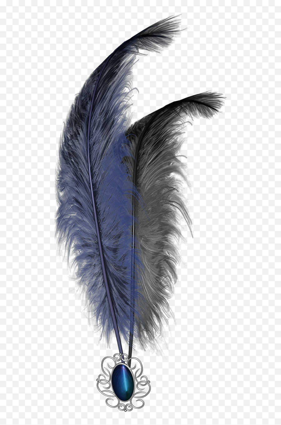 Black Feather Png Photoshop Hand Cutout Images Free Download