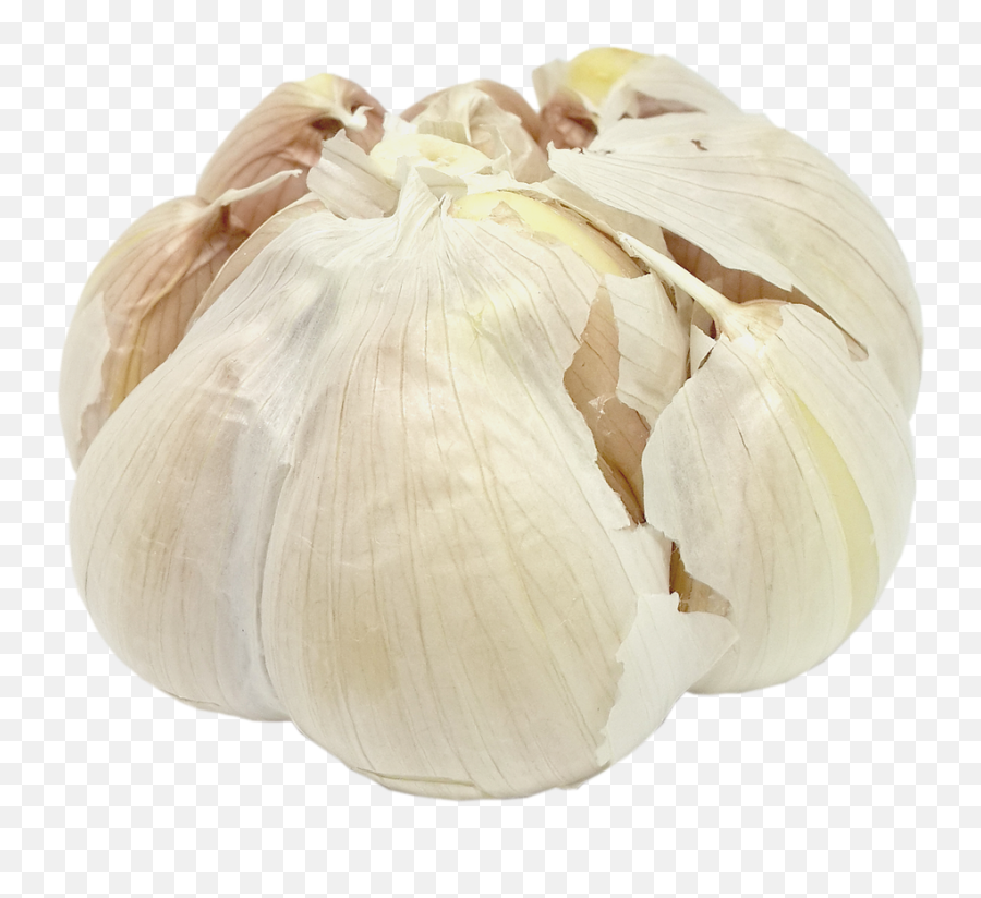 Garlic Transparent Background - Garlic Png,Garlic Transparent Background
