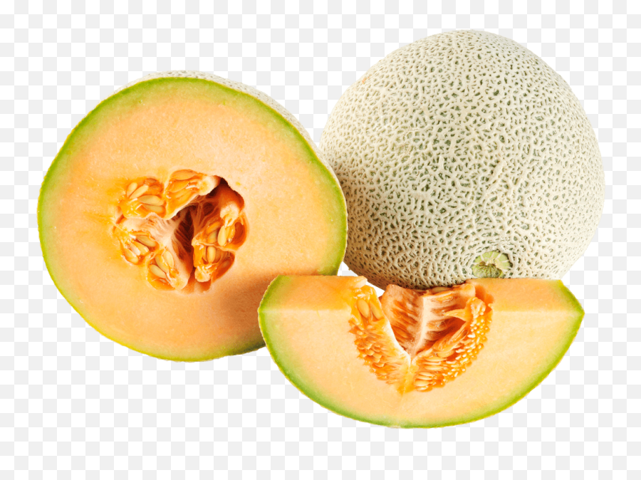 Melon Duo Transparent Png - Melon Png,Melon Png