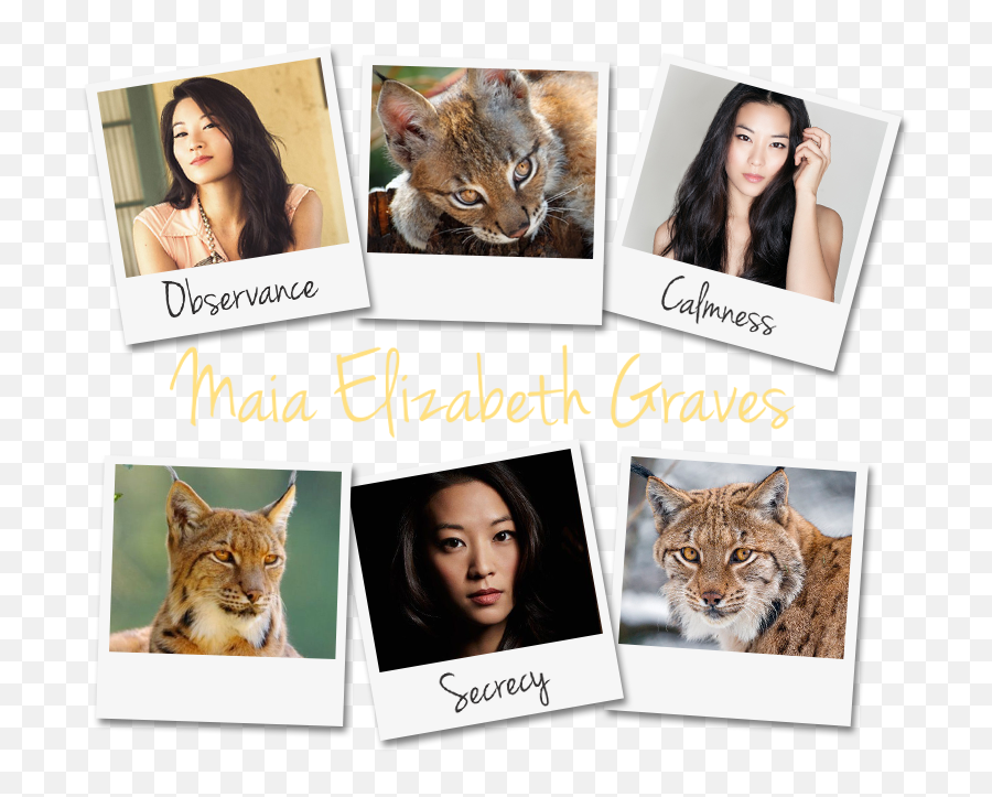 Leriamae Roleplayer Guild - Cat Png,Arden Cho Png