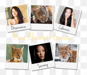 Leriamae Roleplayer Guild - Cat Png,Arden Cho Png