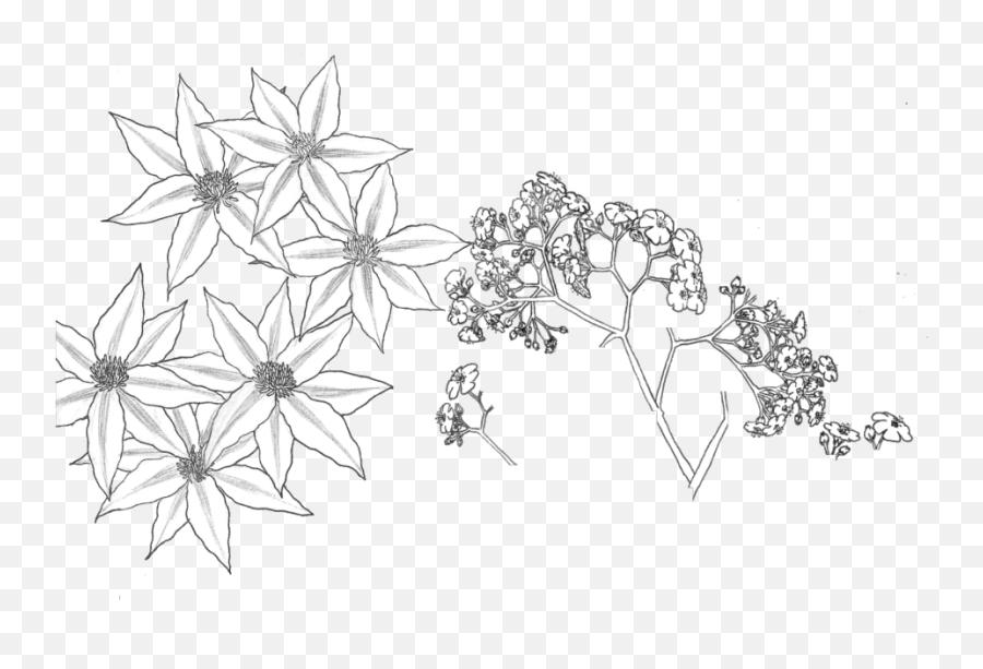 Download Tumblr Transparent Flower - Flowar Parttern Transparent Background White Png,Transparent Flower Drawing Tumblr