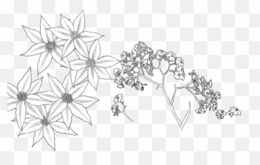 Download Tumblr Transparent Flower - Flowar Parttern Background White png