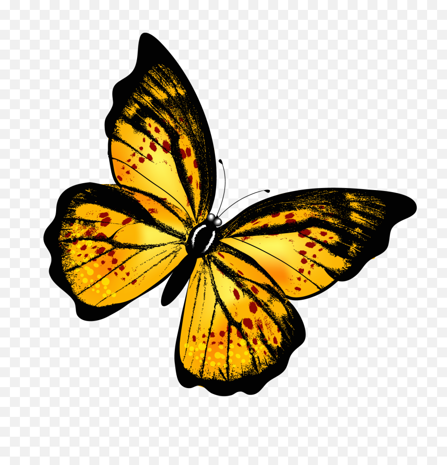 Butterflies Png Transparent Image - Yellow Butterfly Transparent Background,Butterfly Transparent
