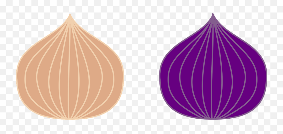 Onion Icon Vegetables - Free Vector Graphic On Pixabay Vektor Bawang Merah Png,Vegetable Icon Vector