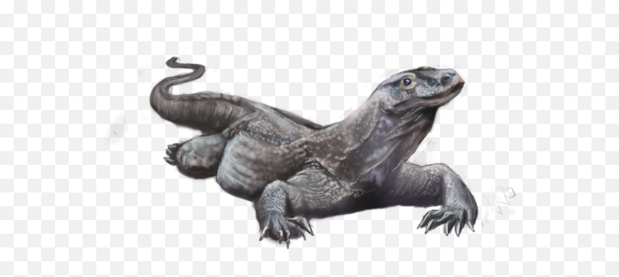 Download Hd Komodo Dragon Png Pic - Realistic Komodo Dragon Drawing,Komodo Dragon Png