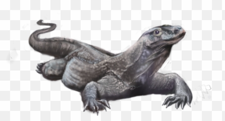 Download Hd Komodo Dragon Png Pic - Realistic Komodo Dragon Drawing,Komodo Dragon Png