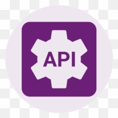 Data Quality User Documentation Phone Validate Api - Language png